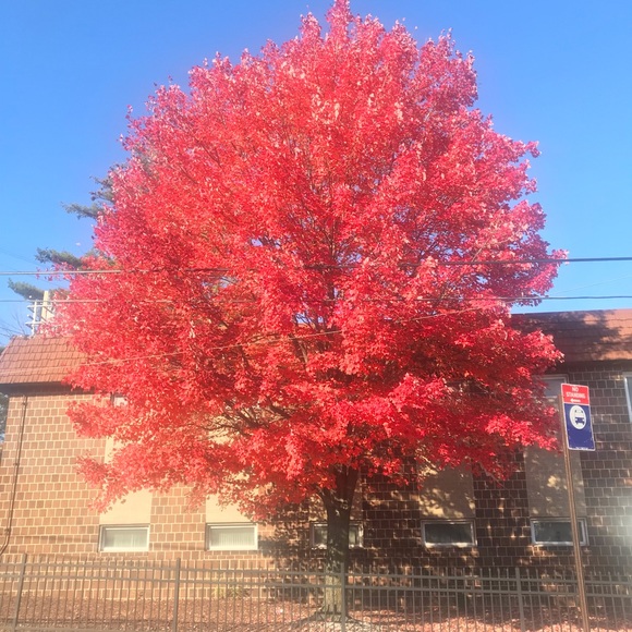 Meet your Posher - Picture 3 of 3